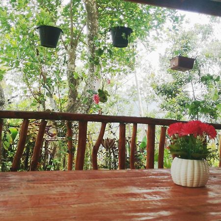 Deneth Homestay Элла Экстерьер фото