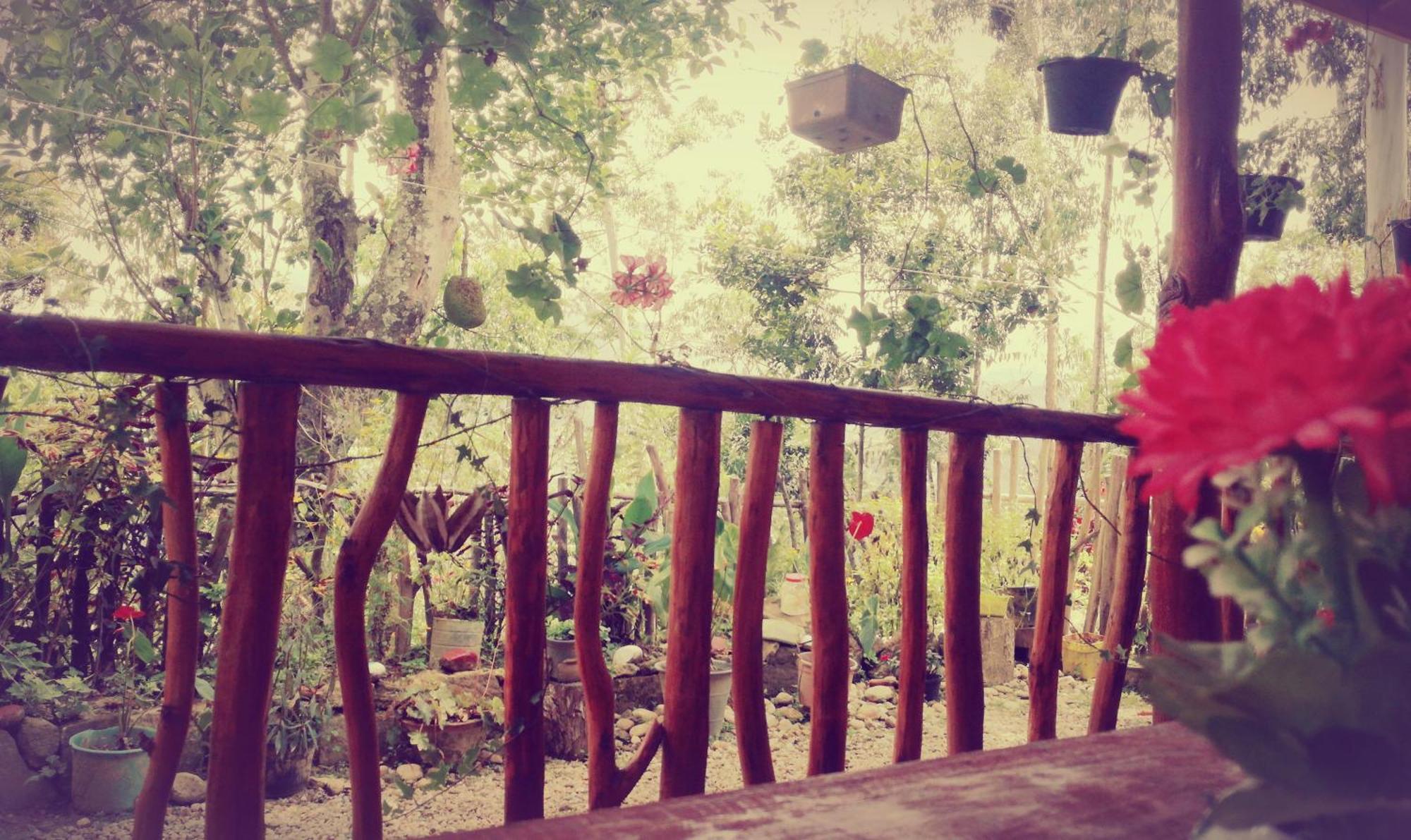 Deneth Homestay Элла Экстерьер фото